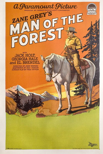 Man of the Forest movie poster