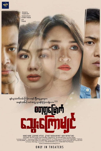 Fourth Capillary movie poster