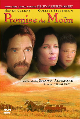 Promise the Moon movie poster