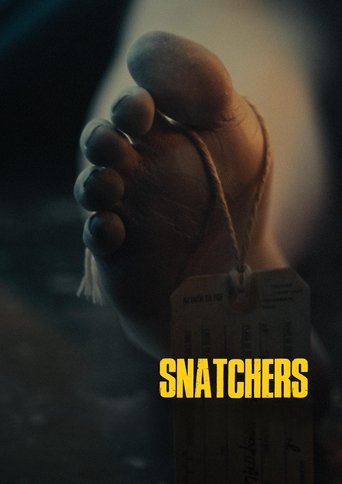 Snatchers movie poster
