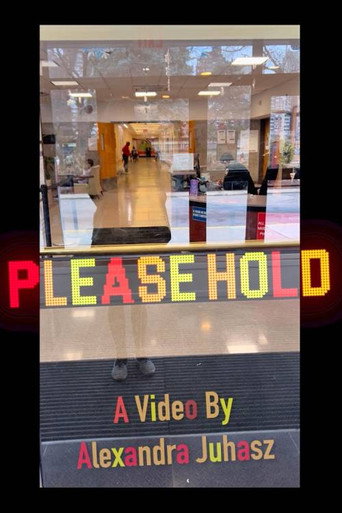 Please Hold movie poster