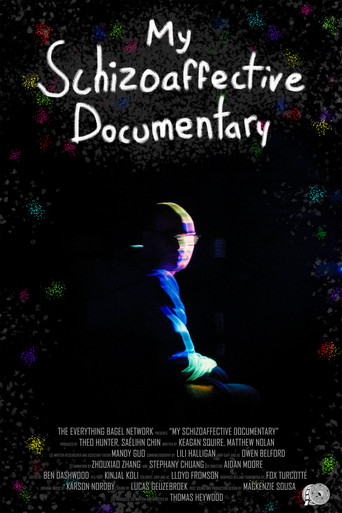 My Schizoaffective Documentary movie poster