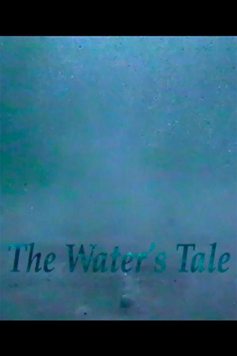 The Water's Tale movie poster
