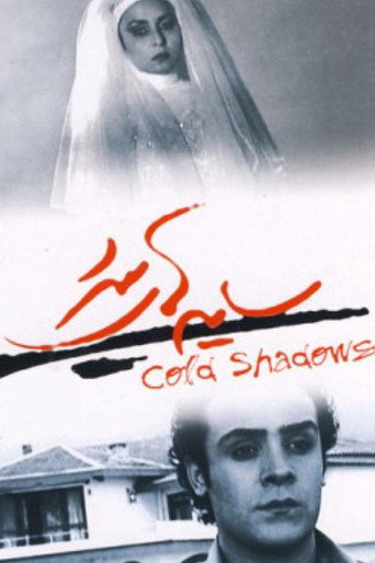 Cold Shadows movie poster