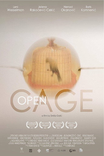 Open Cage movie poster