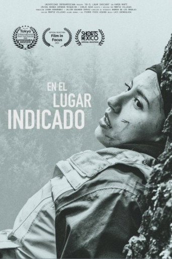 En el lugar indicado movie poster