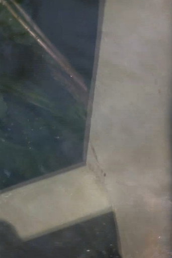 Water Tension movie poster
