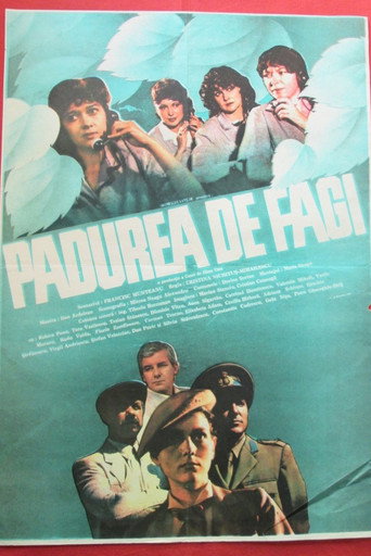 The Beech Forest movie poster