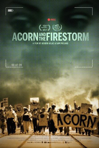 Acorn and the Firestorm movie poster