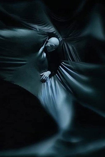 Singularity Song movie poster