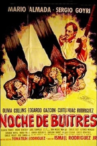 Night of Vultures movie poster