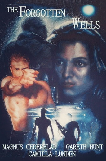 The Forgotten Wells movie poster