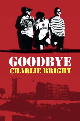 Goodbye Charlie Bright movie poster