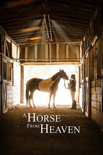 A Champion Heart movie poster