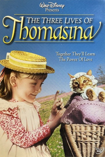 Disney's Beautiful Witch movie poster