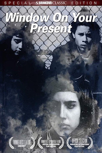 Window on Your Present movie poster
