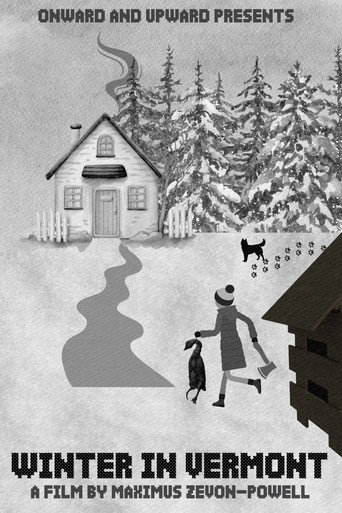 Winter in Vermont movie poster