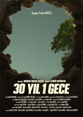 30 YIL 1 GECE movie poster