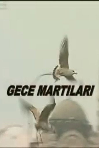 Gece Martıları movie poster