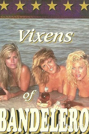Vixens of Bandelero movie poster