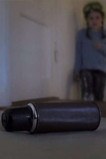 The Thermos movie poster
