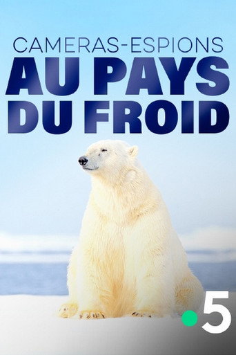 Caméras-espions au pays du froid movie poster