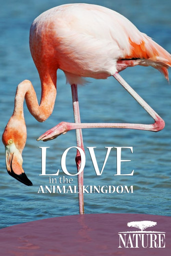 Nature: Love in the Animal Kingdom movie poster