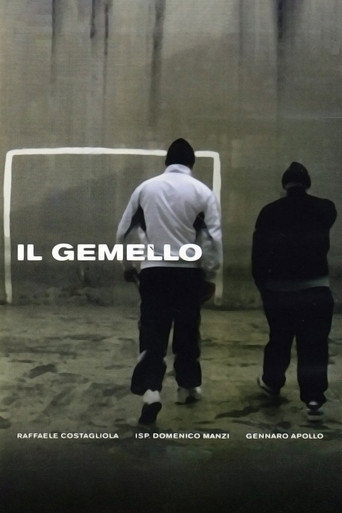 Il gemello movie poster
