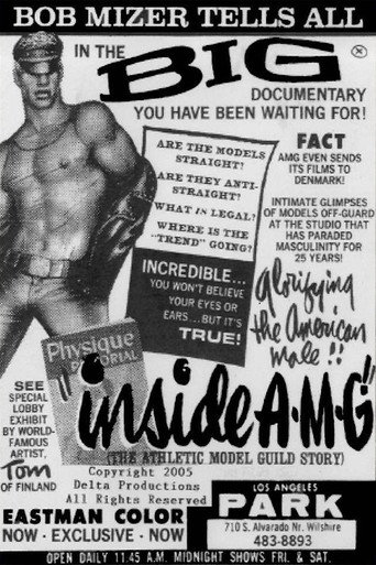 Inside A.M.G. movie poster