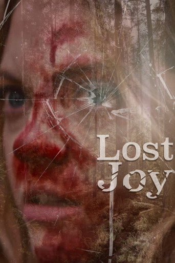 Lost Joy movie poster