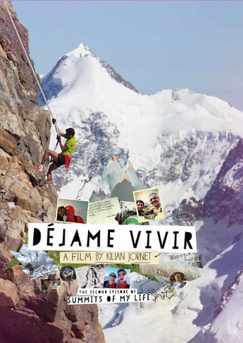 Summits of My Life movie poster