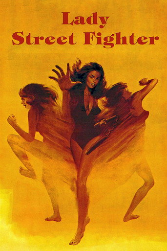 Lady Street Fighter movie poster