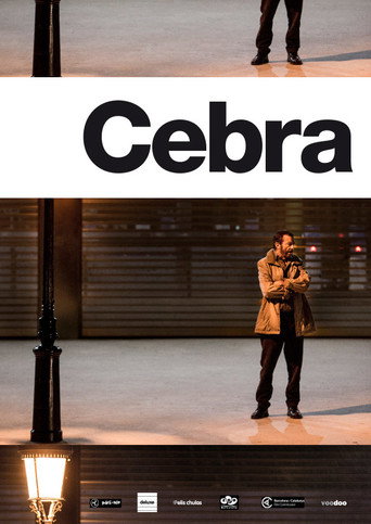 Cebra movie poster