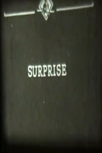 Surprise movie poster
