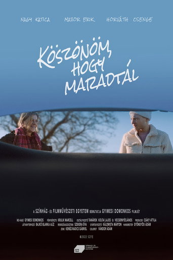 Thank You for Staying movie poster