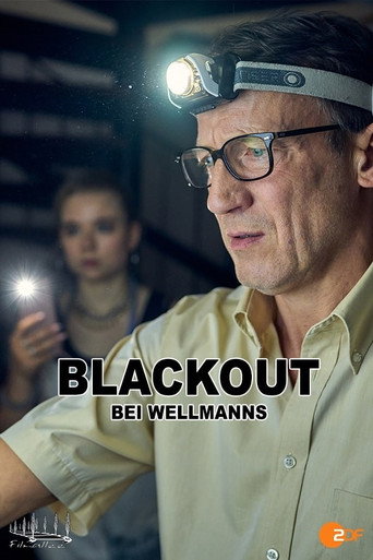 Blackout bei Wellmanns movie poster