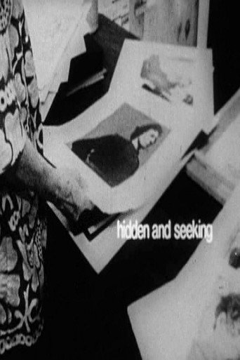 Hidden and Seeking movie poster