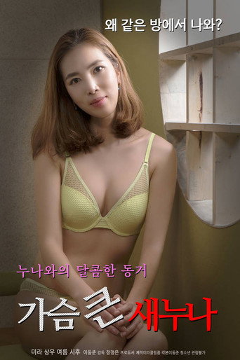 Big Breasts Sister movie poster