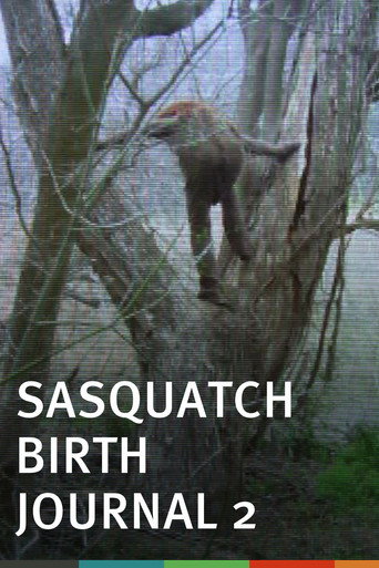 Sasquatch Birth Journal 2 movie poster