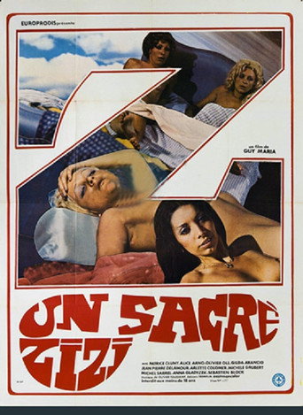 Hard Core Story movie poster