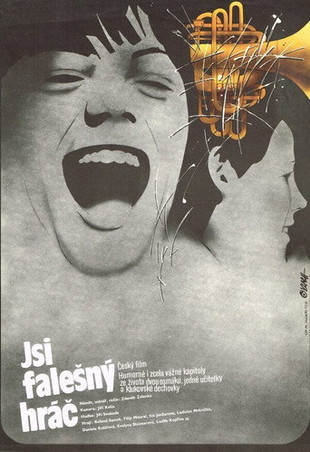 Jsi falešný hráč movie poster