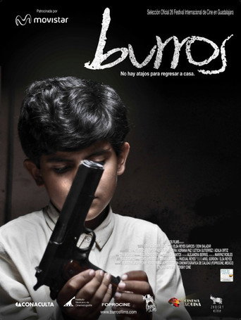 Burros movie poster