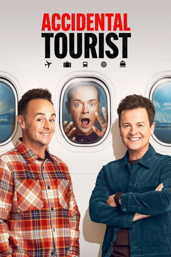 Accidental Tourist movie poster