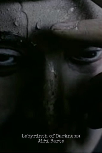 Labyrinth of Darkness: Jiri Barta movie poster