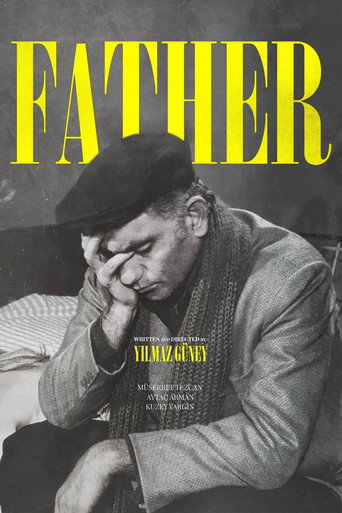 The Father movie poster