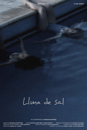 Lluna de Sal movie poster