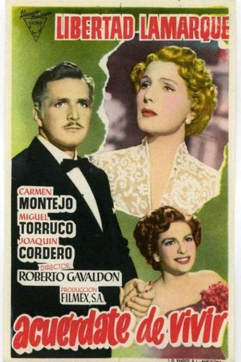 Remember to Live movie poster