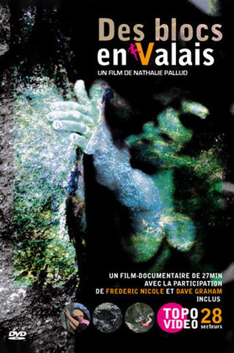 Des Blocs En Valais movie poster