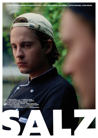 SALZ movie poster