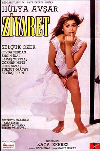 Ziyaret movie poster